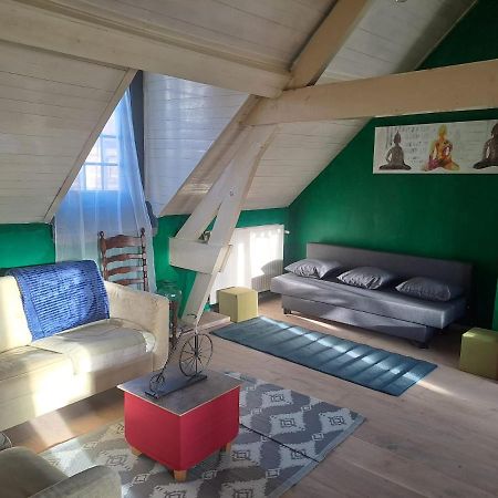 The Green Retromodern Duplex Daire Anvers Dış mekan fotoğraf